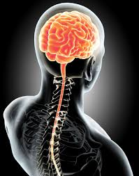 Neurologické vyšetrenie